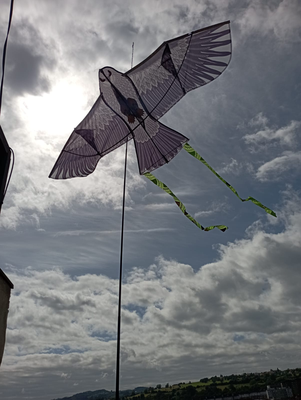 Espantapajaros Halcon Vela